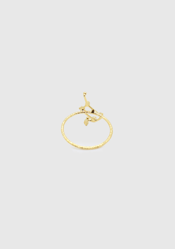 LEO Constellation Ring in Gold