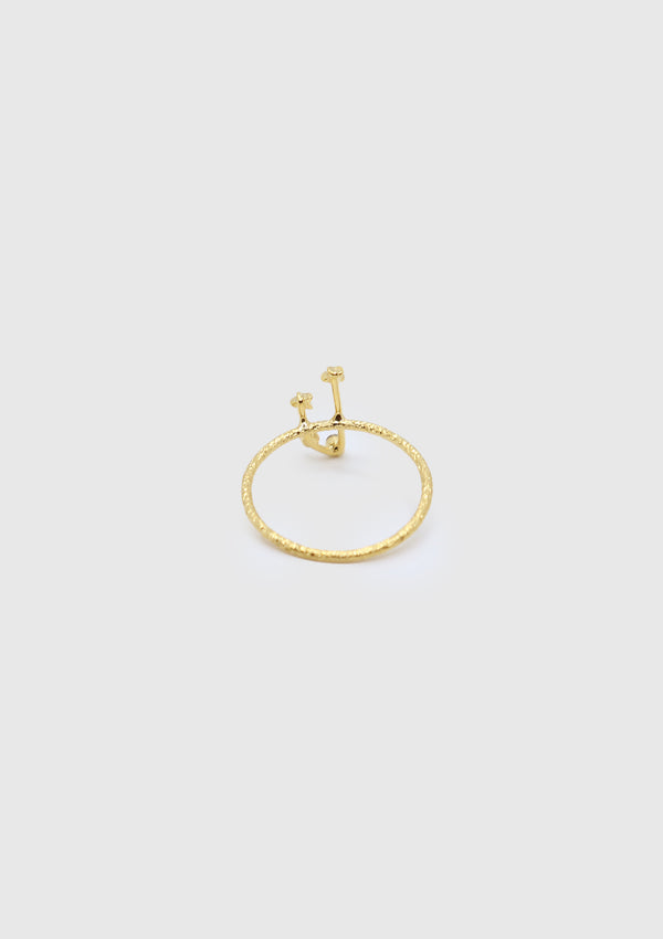 ARIES Constellation Ring in Gold