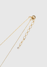 PISCES Constellation Necklace in Gold