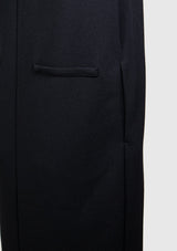 Sleeveless Deep V-Neck Maxi I-Line Dress with Back Slit in Black